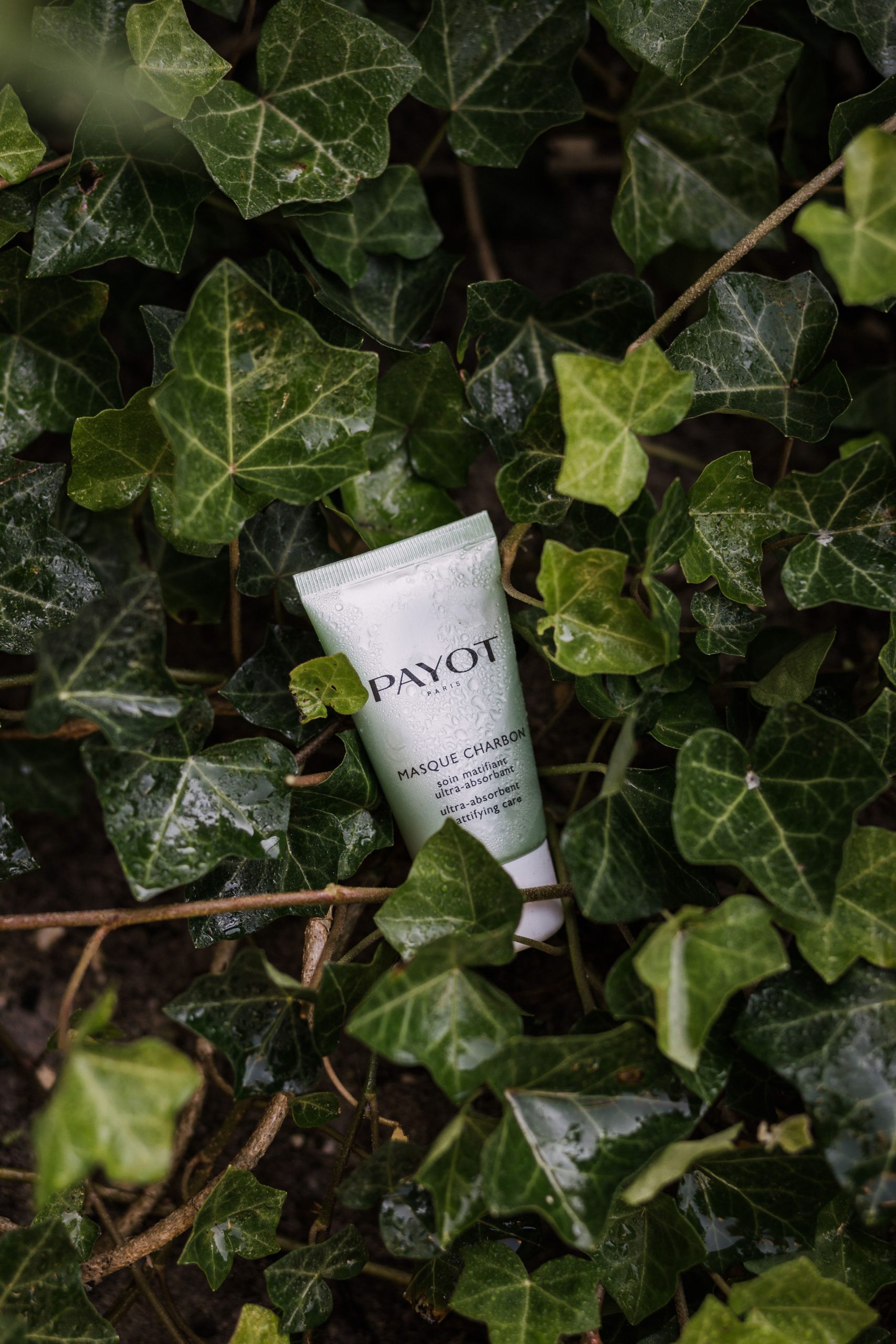 Payot Masque charbon review