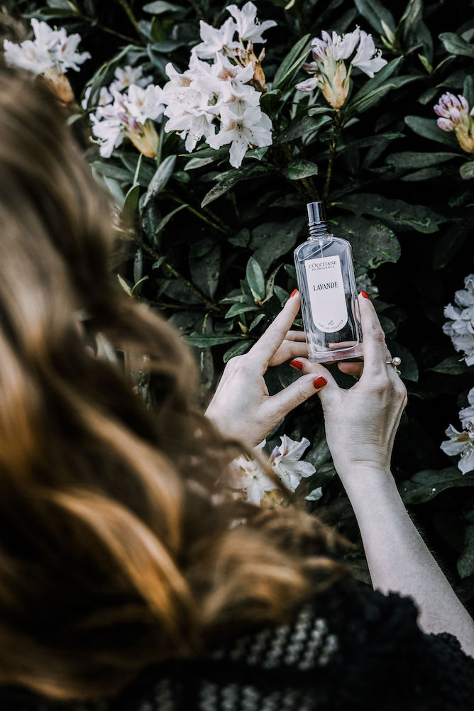 Review van de L’Occitane Lavendel Eau de Toilette. Ontdek deze Franse lavendel parfum uit de Provence met geurnoten van lavendel, eucalyptus en sandelhout voor een frisse en warme geur.